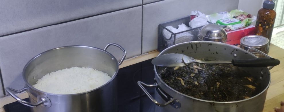 Ο ΑΥΓΟΥΣΤΟΣ ΣΤΑ ΚΕΝΤΡΑ ΦΙΛΟΞΕΝΙΑΣ ΓΙΑ ΑΣΥΝΟΔΕΥΤΟΥΣ ΑΝΗΛΙΚΟΥΣ ΤΗΣ ΖΕΥΞΙΣ